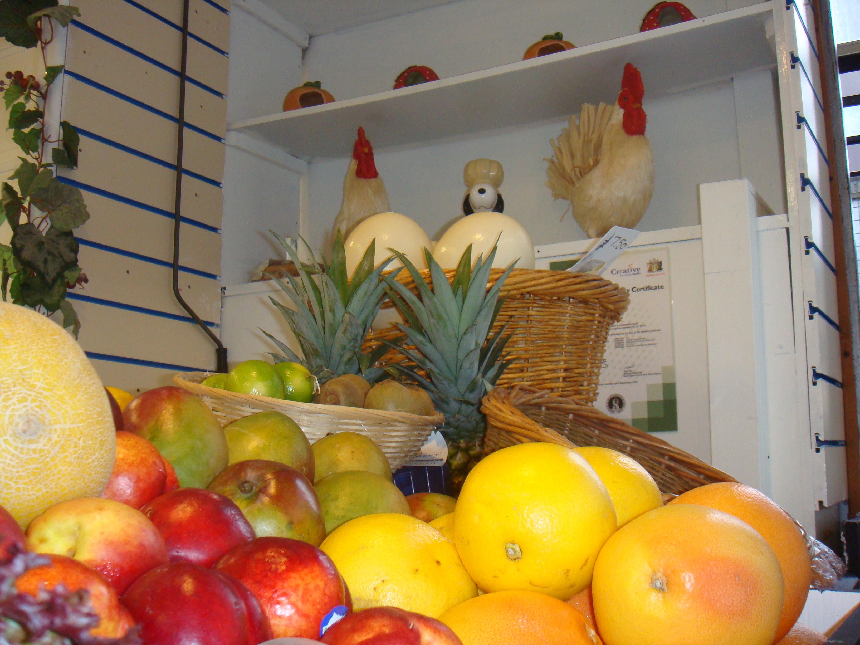 dsc00971.jpg